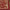 Bahia Traditional Oriental Persian Red Rug 54500