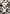 Avi Modern Geometric Grey Green Rug 54515