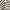 Asiya Modern Geometric Grey High-Low Rug ANT-27