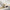 Filippa Vintage Border Pattern Yellow Glam Rug CAI-21