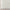 Emerson Modern Solid Ivory Thick & Soft Shag Rug ELL-22