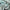 Gila Machine Washable Vintage Bohemian Medallion Oriental Green Flat-Weave Distressed Rug NIL-15