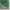 Luz Modern Geometric Green 3D Textured Thick & Soft Shag Rug SF-165