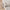 Pesaro Vintage Oriental Medallion Beige Rug TOP-52