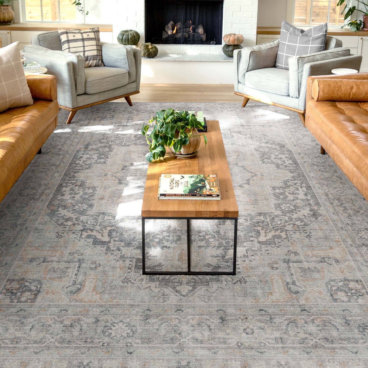 Apollo Tirana Light Grey Rug W-AP-28D