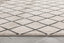 Aiden Trellis Modern Ivory Soft Rug BAL-22