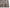 Beverly Anthracite Modern Vintage Distressed Rug DE-13