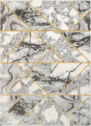 Arlo Retro Marble Pattern Grey Glam Rug FRM-47
