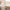 Halden Solid Pattern Ivory Thick  Nordic Shag Rug JU-12