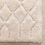 Winona Honeycomb Hexagon Pattern Shag Beige 3D Textured Rug LOG-141