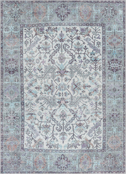 Macon Machine Washable Vintage  Medallion Botanical Border Beige Flat-Weave Distressed Rug LOT-204