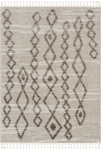 Skylar Moroccan Diamond Pattern Ivory/Brown High-Low Textured Rug SAL-12