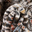 Ahote Vintage Floral Damask Pattern Grey Textured Rug TEN-17