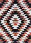 Tangier Black Cream Tribal Southwestern Shag Rug TR-22
